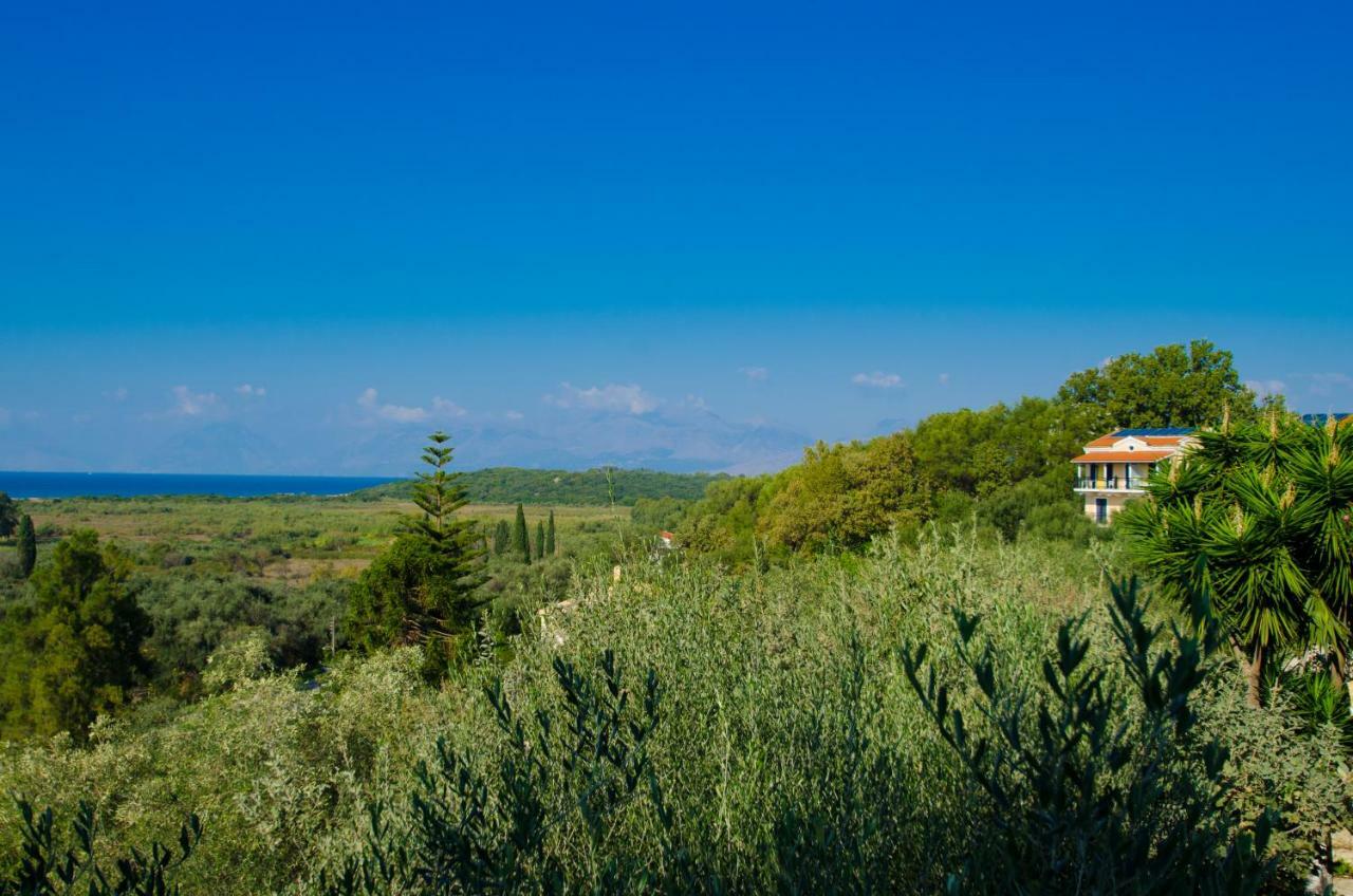 Appartement Natural Blue *